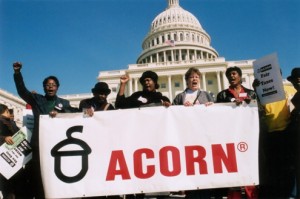 acorn acorn