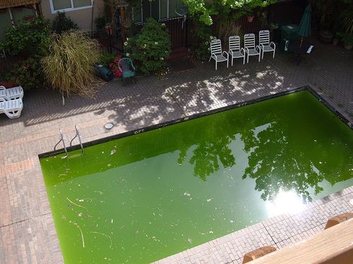 foreclosed-pools foreclosed-pools