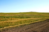Foreclosed Land